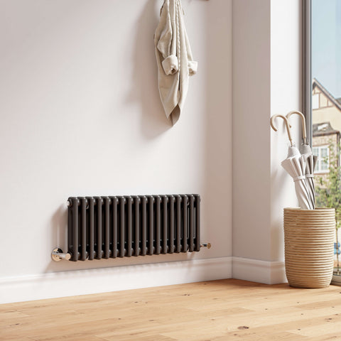 EMKE CR Traditional Horizontal Triple/Double Column Radiator White/Anthracite EMKE CR Traditional Horizontal Triple/Double Column Radiator White/Anthracite