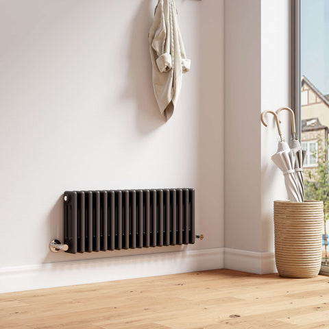 EMKE CR Traditional Horizontal Triple/Double Column Radiator White/Anthracite EMKE CR Traditional Horizontal Triple/Double Column Radiator White/Anthracite